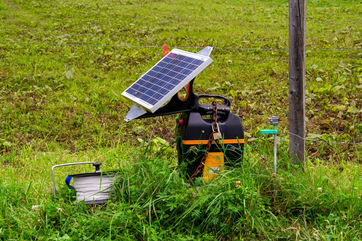 solar panel facing sun to power electric fence